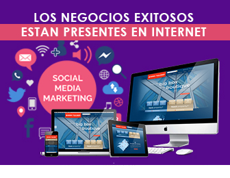 DiseÃ±o de Websites Houston, Redes Sociales, Publicidad en Google, Posicionamiento de paginas webs, publicidad en internet